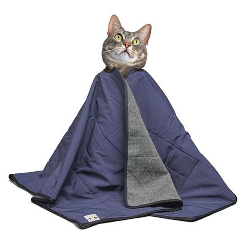 catpev|PRODUCTOS CATPEV JAA 09.